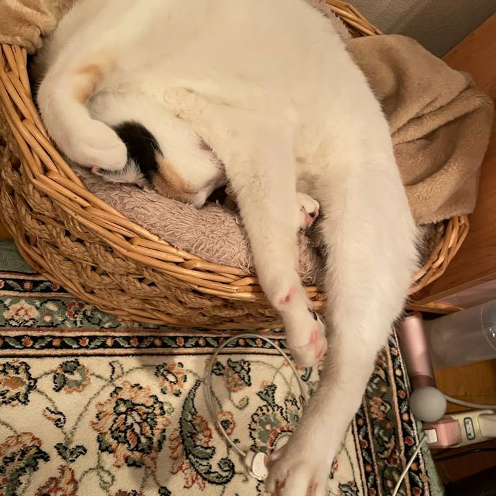 B2f0eb42 8d08 44d3 a564 ad12c4bf60c4 1686034078386