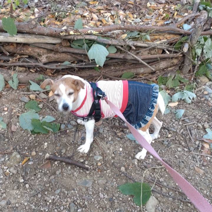 B2f0ecbf 193d 4aee 9c0e 24977fb33db4 1761275426634