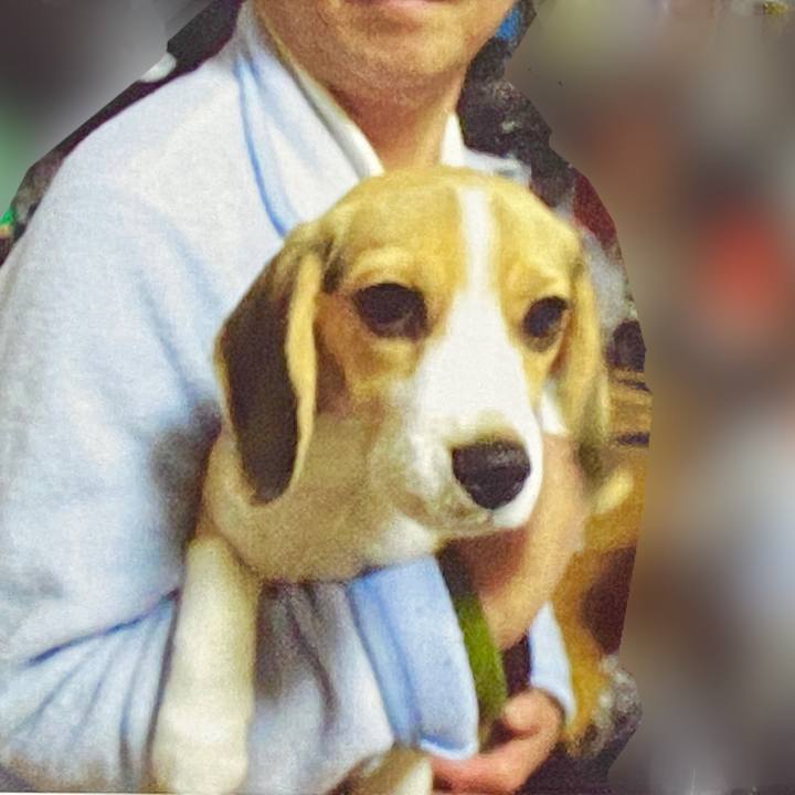 B2f0f671 cd4d 40a8 a03b efa25d4f5fe0 1581517196218