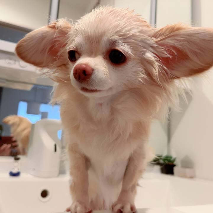 B2f114f1 6c13 4a21 bd04 cba0a0a96949 1709197695415