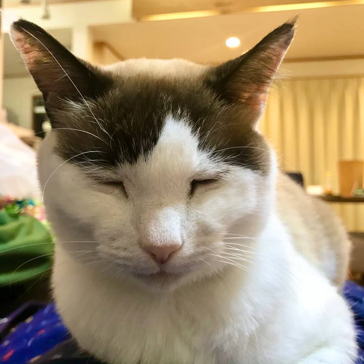 B2f11cbb 5c93 4e60 9b9e 592671e3a4d3 1579063185442