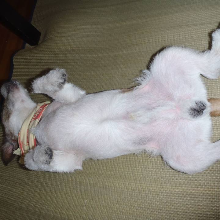 B2f1404a db0f 4c5b 81b3 6a7025d77524 1533203003599