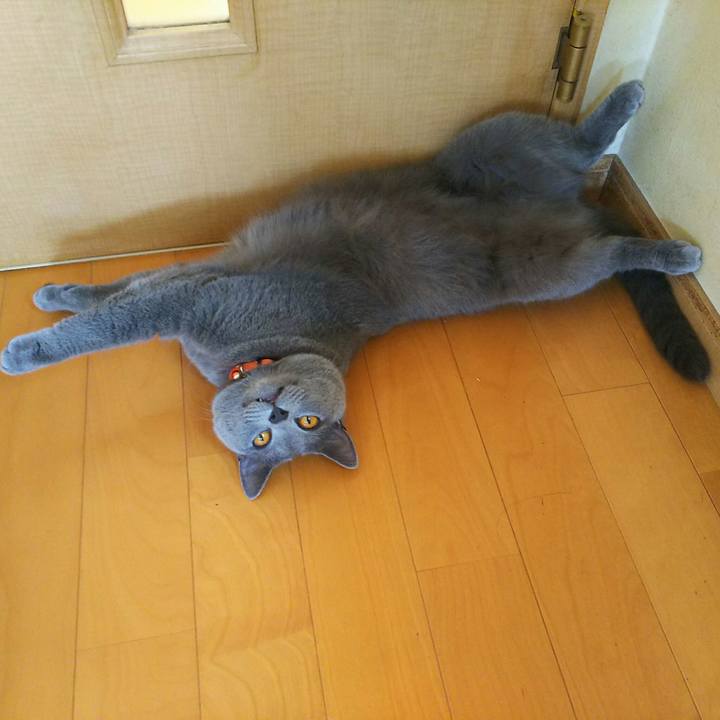 B2f14f7f 27b3 4d7c b6bc 713794e6ad8e 1533351667398