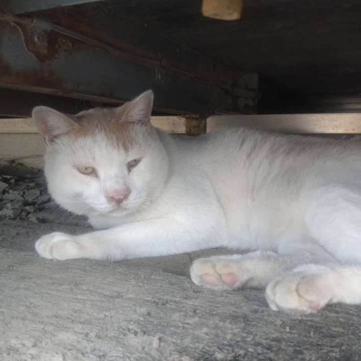 B2f15b6c 8478 4f0b b5aa a53a878612c2 1756251591961