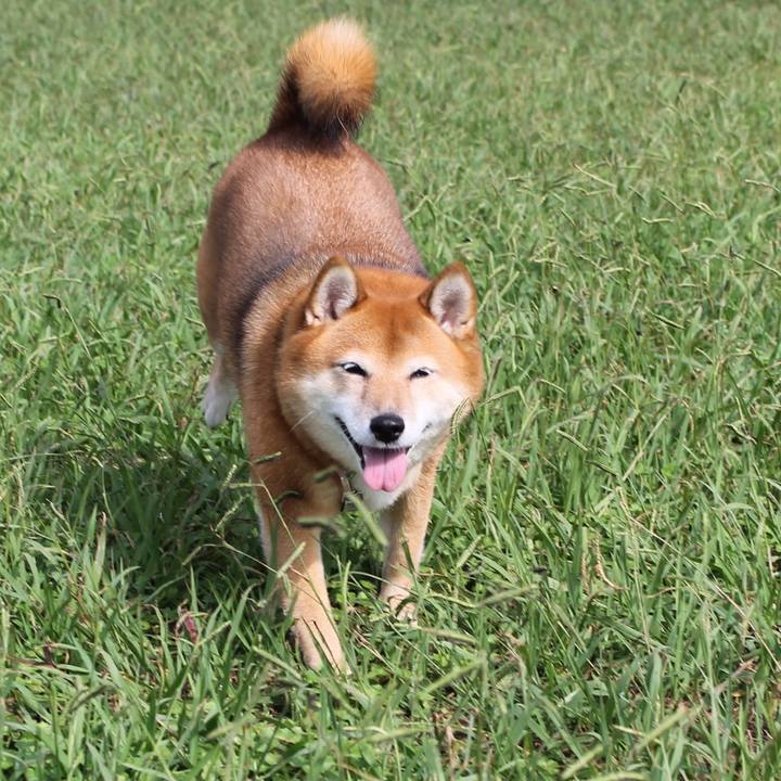 B2f1600c 3561 498d 970a aaa088223ab7 1539052100190