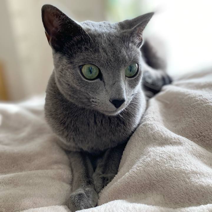 B2f1c7ec 5d97 4d1a 91d0 b025914a78db 1642137610471