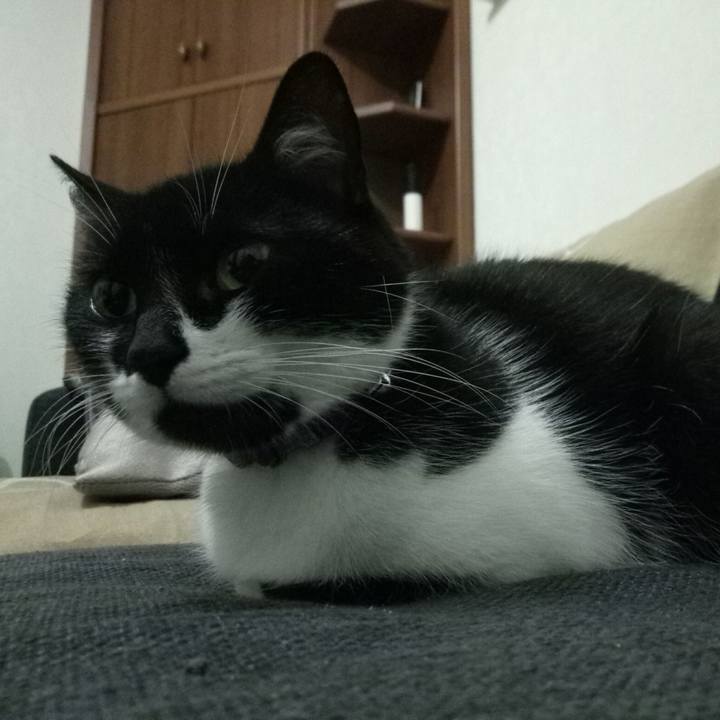 B2f1e2ec ce02 418a 9bc6 f8fa8c054b9e 1508099928394