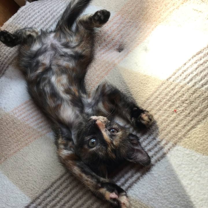 B2f1e80e ccf7 4ad7 8796 b3747d6b2770 1597015529615