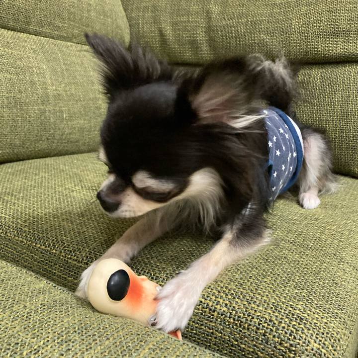 B2f209d6 2d6a 4807 8ece 549b212c904b 1666446870028