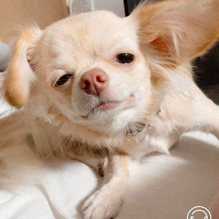 B2f20bd4 e39e 4d42 8e14 cd0e6f5b57b3 1605309743698