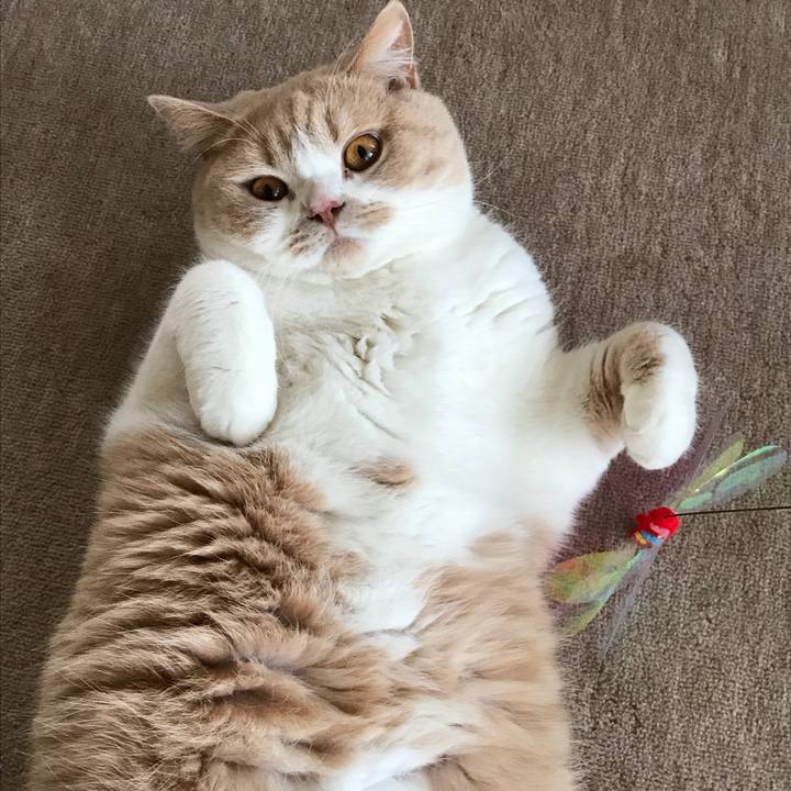 B2f20f04 26a2 4c96 82d0 7e6a01a2c9f0 1518999950395