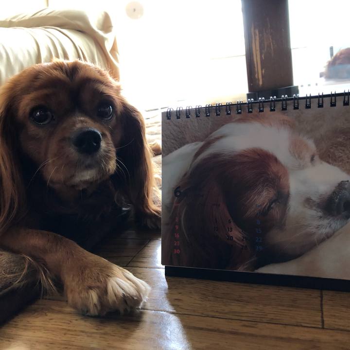 B2f24709 4aa7 4b9d 81e0 512cd041b3dd 1559361704443