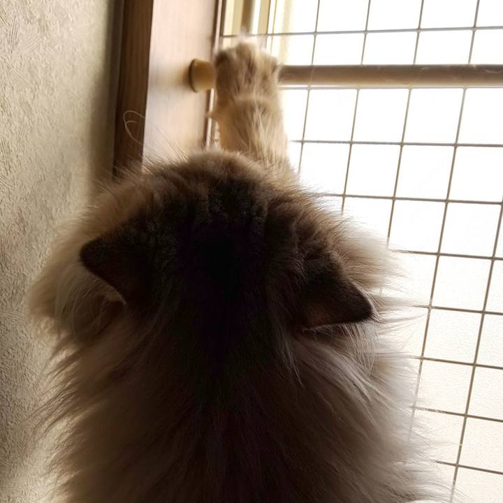 B2f2668a 1943 4205 b9db 5a280ca9f711 1609202071760