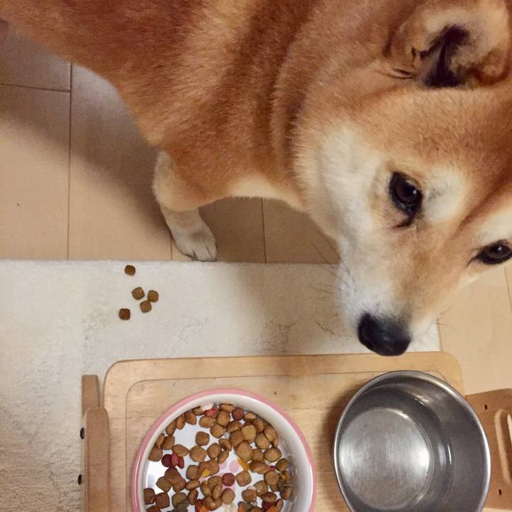 B2f2b0ca afee 4421 833e a267cd813f80 1513771320905