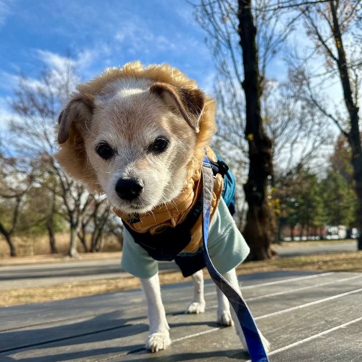 B2f2d8d7 0a20 4be2 8da6 2f0c23384204 1765361418416