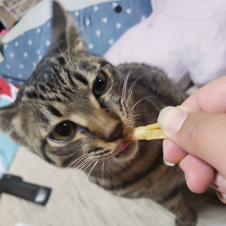 B2f2f1e1 859b 49bc a923 045f88d1de6c 1544056179414