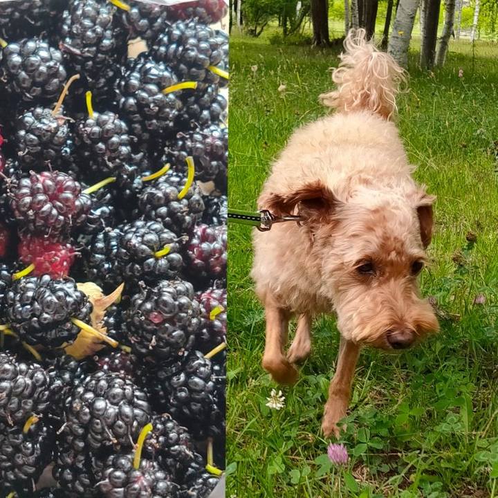 B2f30665 6627 4438 923e ab52c28a4a34 1594511997671