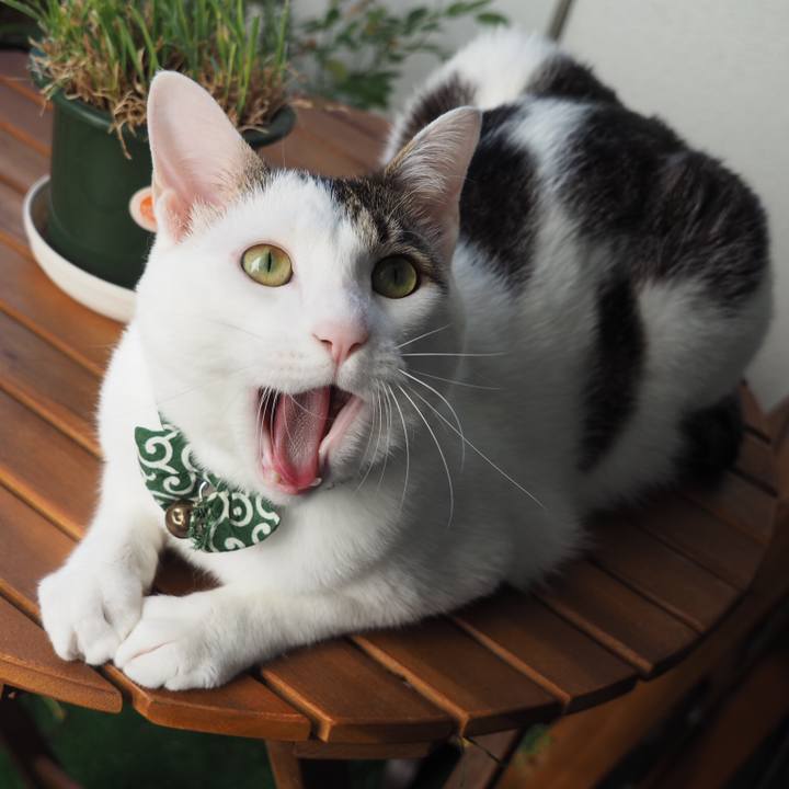 B2f307d0 e6cd 44f9 b978 134cec46f8b9 1530482890533