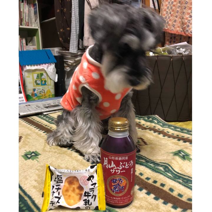 B2f31f43 1bda 474e 9ef9 df5218badac3 1679842077399