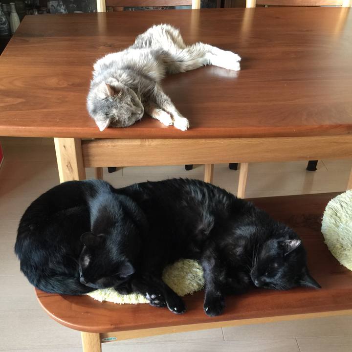 B2f32536 d132 4312 a04a 4e55e75ac015 1540453002665