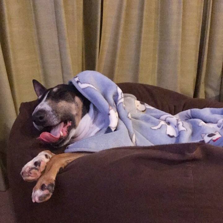 B2f35c00 2c71 4128 a2ee 46f45b53bb7a 1508591756281