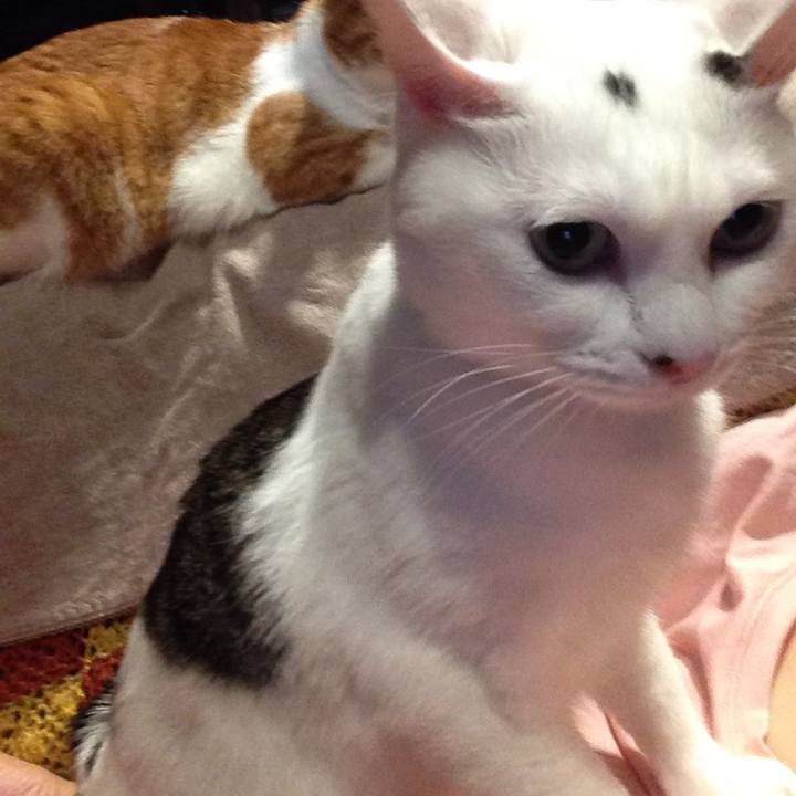 B2f366f9 c144 4301 8850 7d658282f745 1509550649254