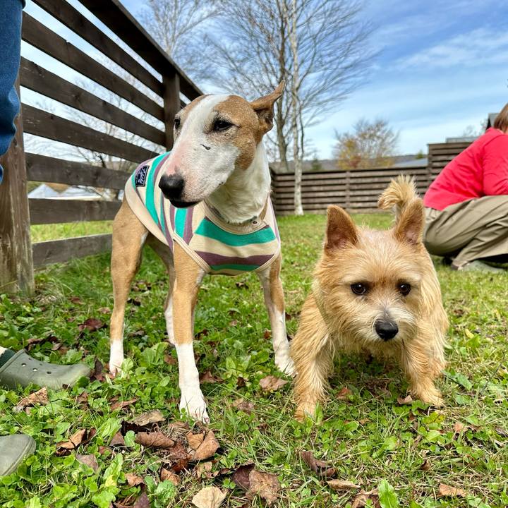 B2f3ae8a 3dfd 4439 a477 a417dead79c0 1730696919897