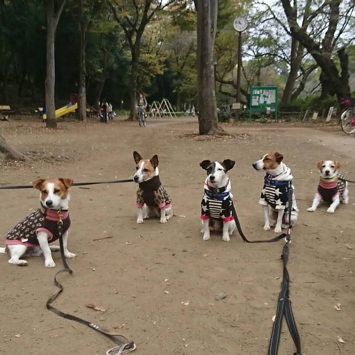 B2f3f3da b9ef 457e bc18 f11467e6ddea 1541297660584