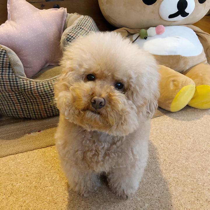 B2f42de7 796d 4c15 a654 28a6db921682 1515387263646