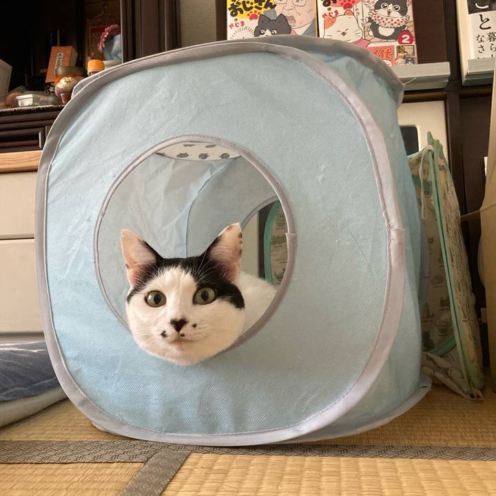 B2f4415b ea86 4a19 b08d 0bf40077b630 1760314094825