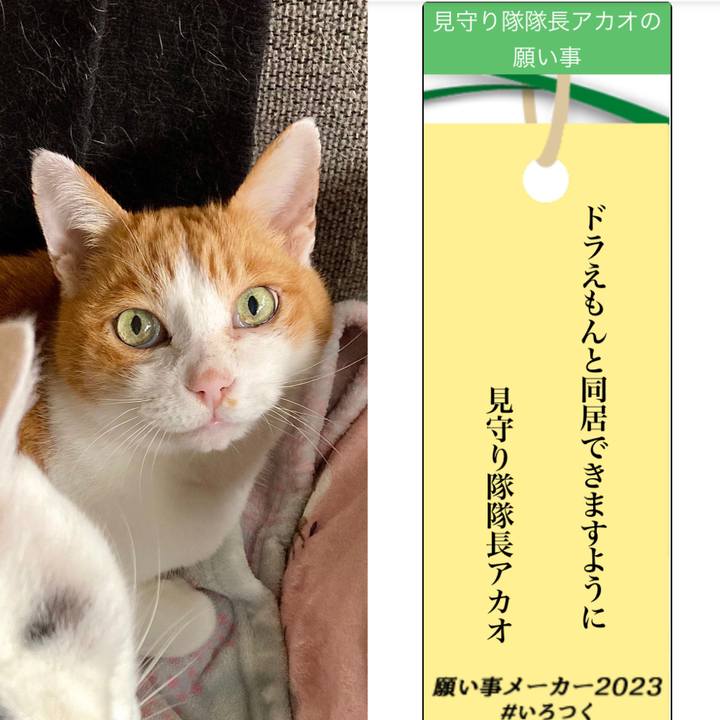 B2f45922 8fec 41e1 bc8d 9a223437f538 1688710613201