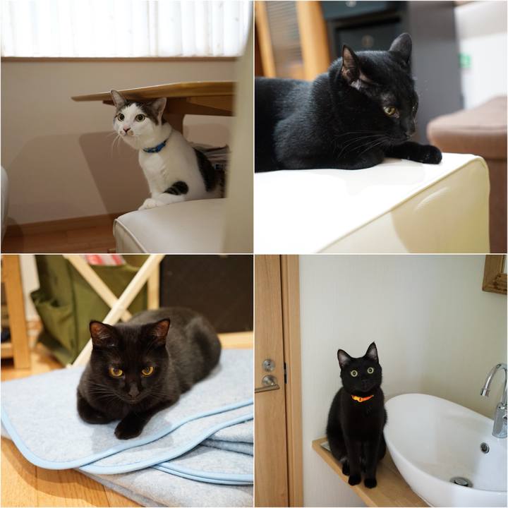 B2f4599f 2c56 4b9e a97d b387da8baa83 1538524748301