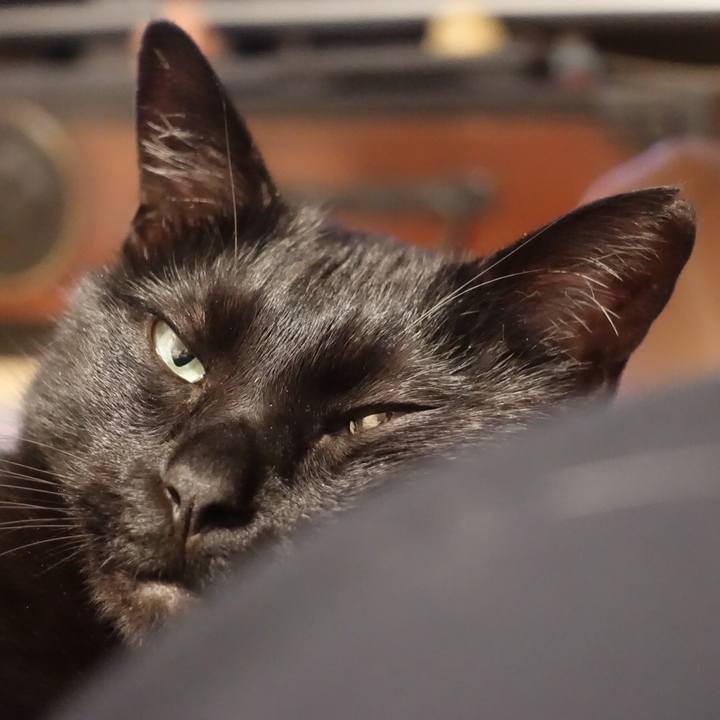 B2f49388 d2b0 441a b4c3 12be45891e6f 1541258190856