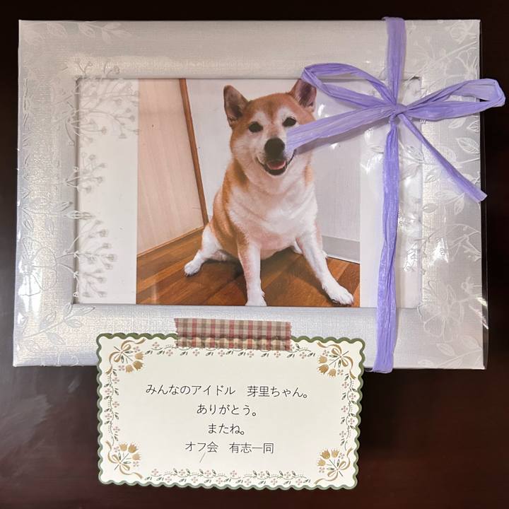 B2f4a790 a17c 4182 b295 9b73bb2cd075 1766652351982