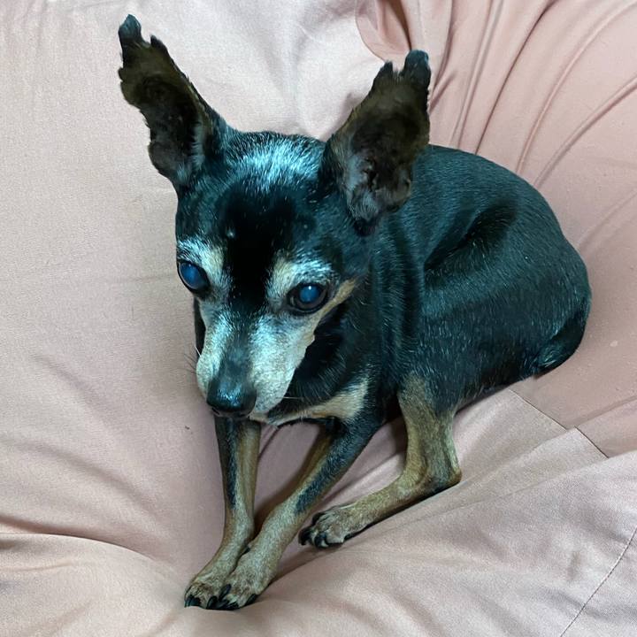 B2f4ff1a 96ec 4952 86af 673bf0078114 1578731645403