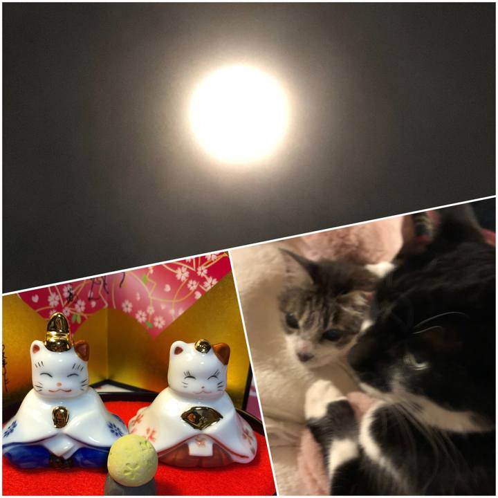 B2f5152b 0be7 4798 b9fd aceaf4ce7526 1550592227071