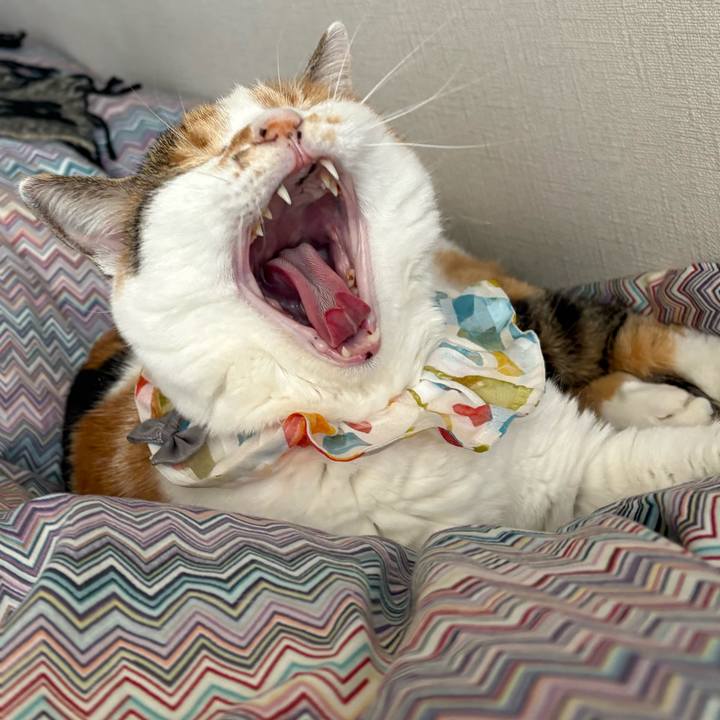 B2f54478 2e15 496d b1a7 bc6bdf9b086d 1773632365194