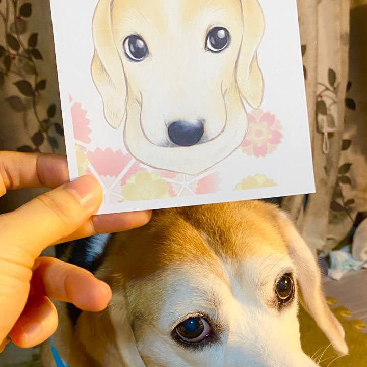 B2f54525 020c 470e a781 e372bc290b7e 1593778242934