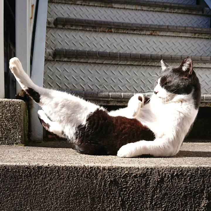 B2f5493f ed6b 4702 80cc e0a6f924d42a 1581409685331