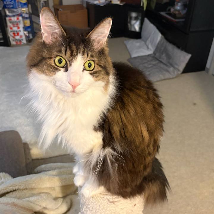 B2f5668c 12d1 4e9a 916b 61de2a635354 1767752319071