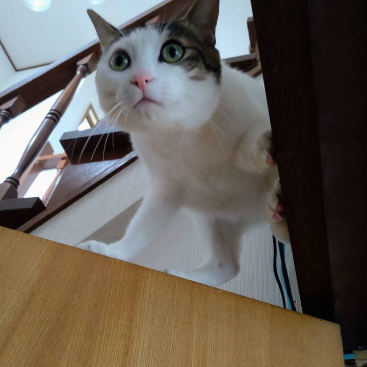 B2f566b9 705b 48f4 b676 71ce87200c1b 1683339806343