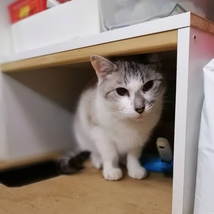 B2f56b0f 76bf 4175 b6ce cc2659b53eef 1594813638265