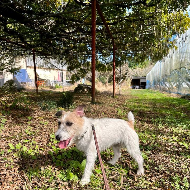 B2f57b82 44b6 4f24 922e 924a058b3239 1730614743830