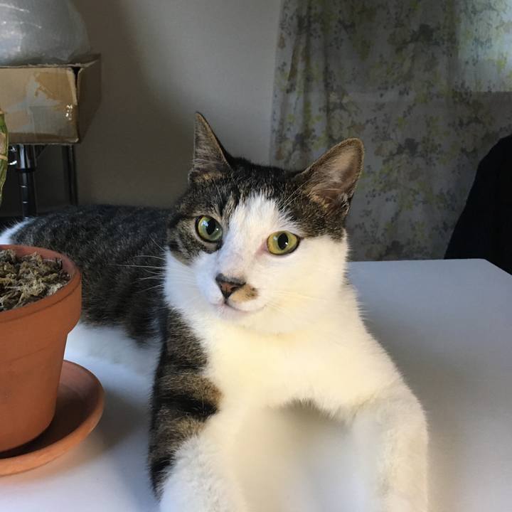 B2f58a3a e7f0 4326 97ed c68a02666ddf 1532136926954