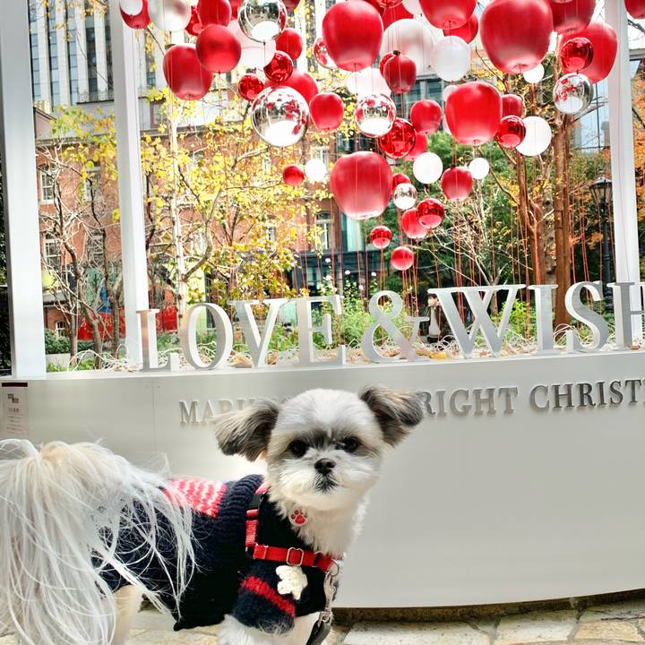 B2f5c47e bfcc 4034 b8ee eaf67996d003 1608359182095