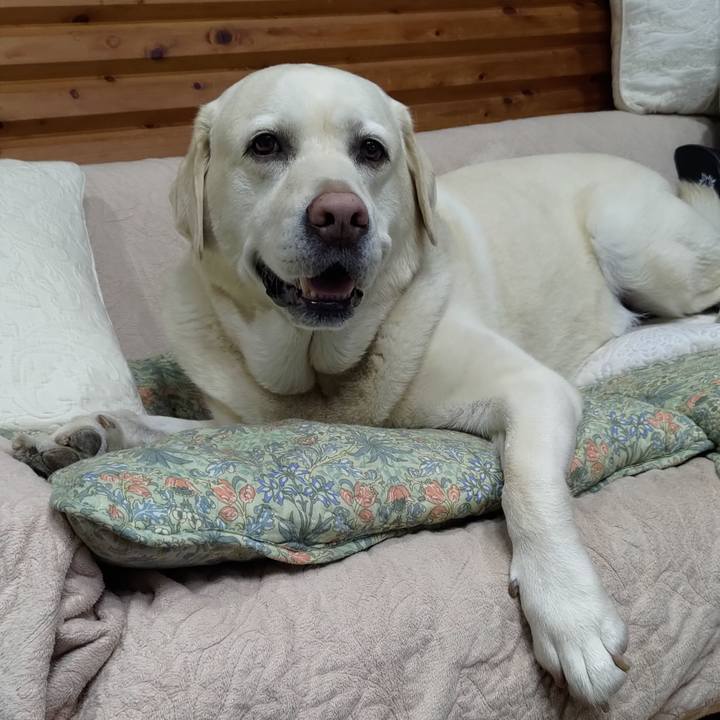 B2f5c64e 2391 4444 8c10 afc17744e8d8 1681440996416