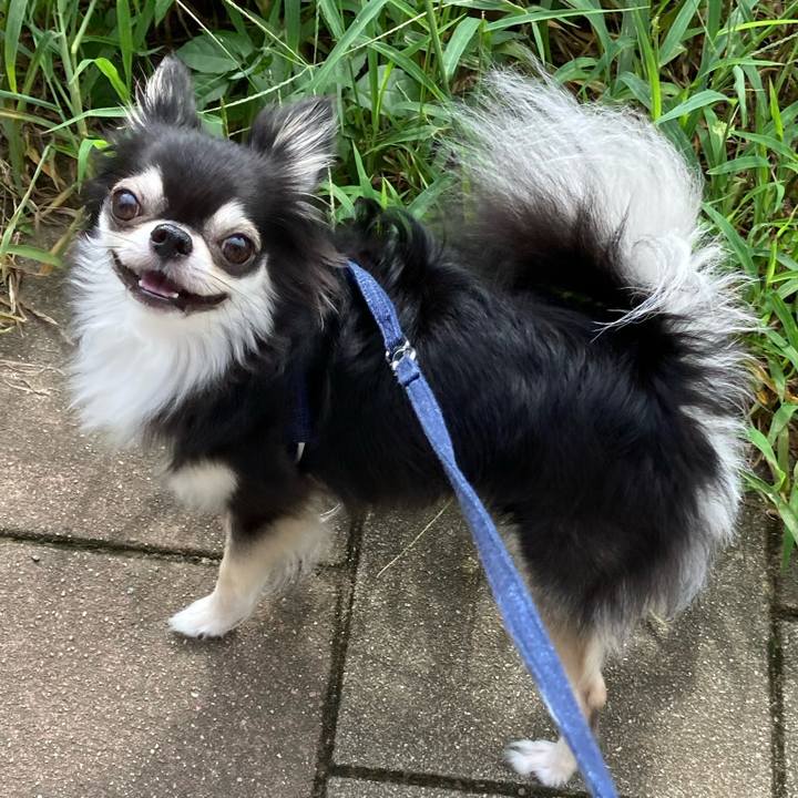 B2f5d5ce 0a7d 43bf 9a7d a7e0311b8e4a 1662272298763