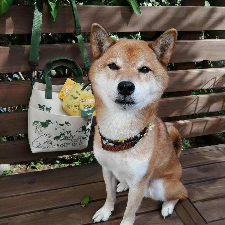 B2f5dd5e 4ea7 4824 8cf0 04cc9df46936 1604206291701