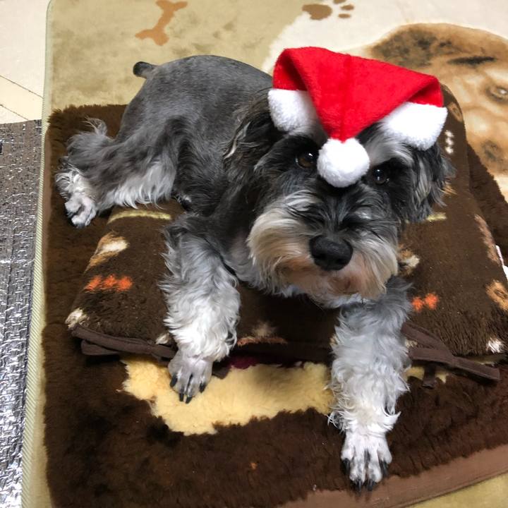 B2f5e192 380f 45d2 9fe1 a1b3a8f0e8a0 1545618624748