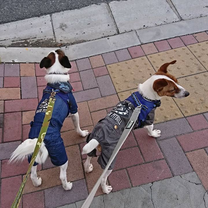 B2f6907e db43 4002 a5ad 26de1298a4b2 1525563109524